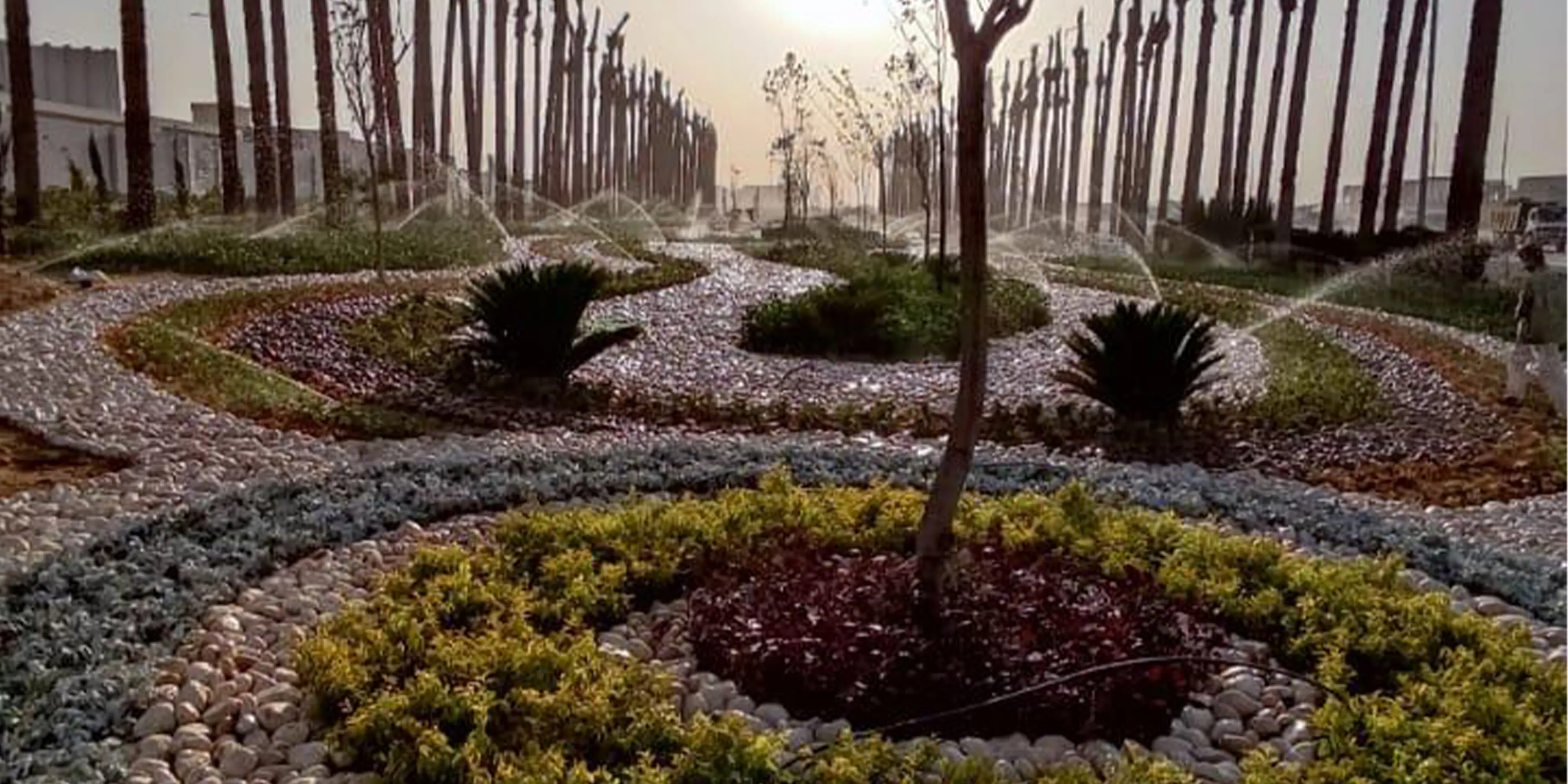 اعمال اللاند  سكيب وتنفيذ شبكات الرى والصرف والزرعات مبنى الرقابة الادارية